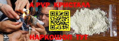 амф Гусев