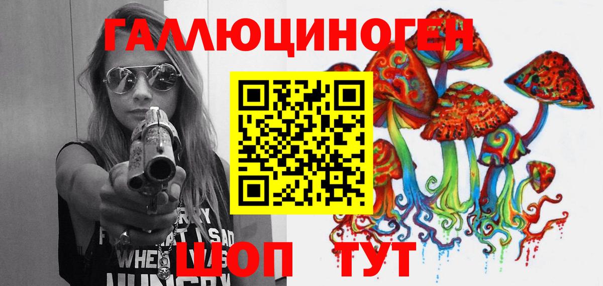Псилоцибиновые грибы Psilocybe Георгиевск