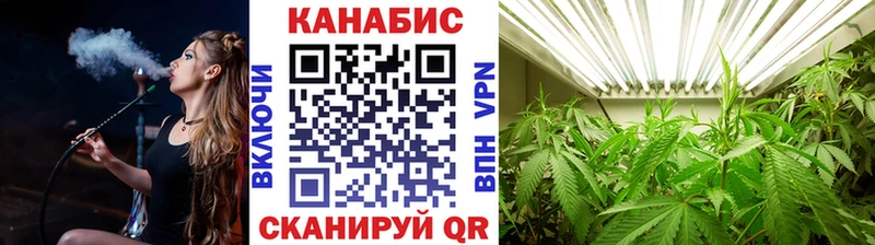 Конопля сатива  мориарти клад  Георгиевск  как найти наркотики 